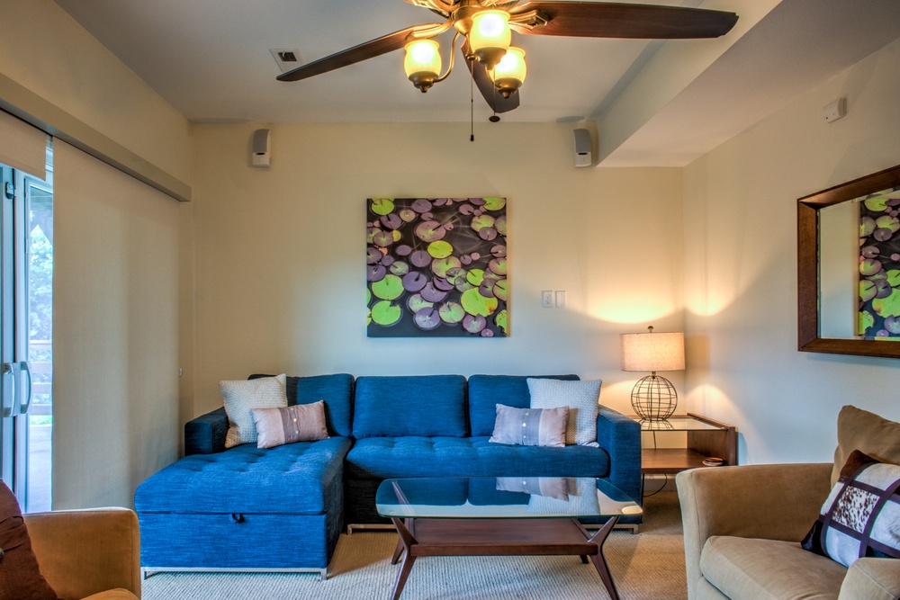 Lower Level Living Area with Sleeper Sofa