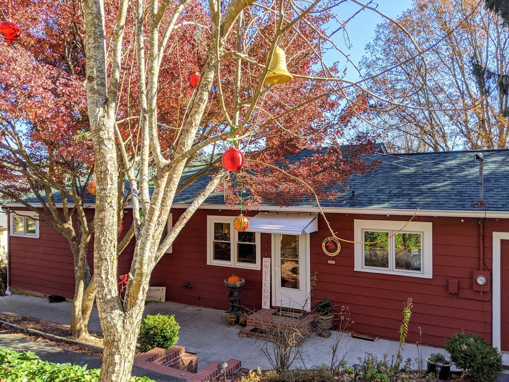 Christmastime at The Roost (Seasonal)