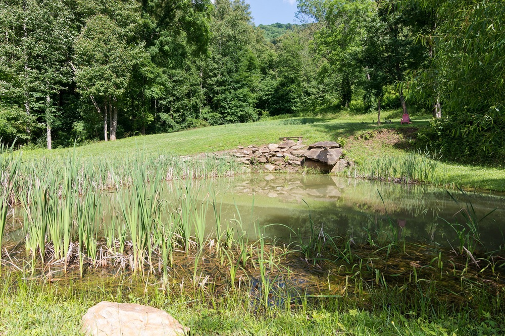 50-Acre Property with Pond