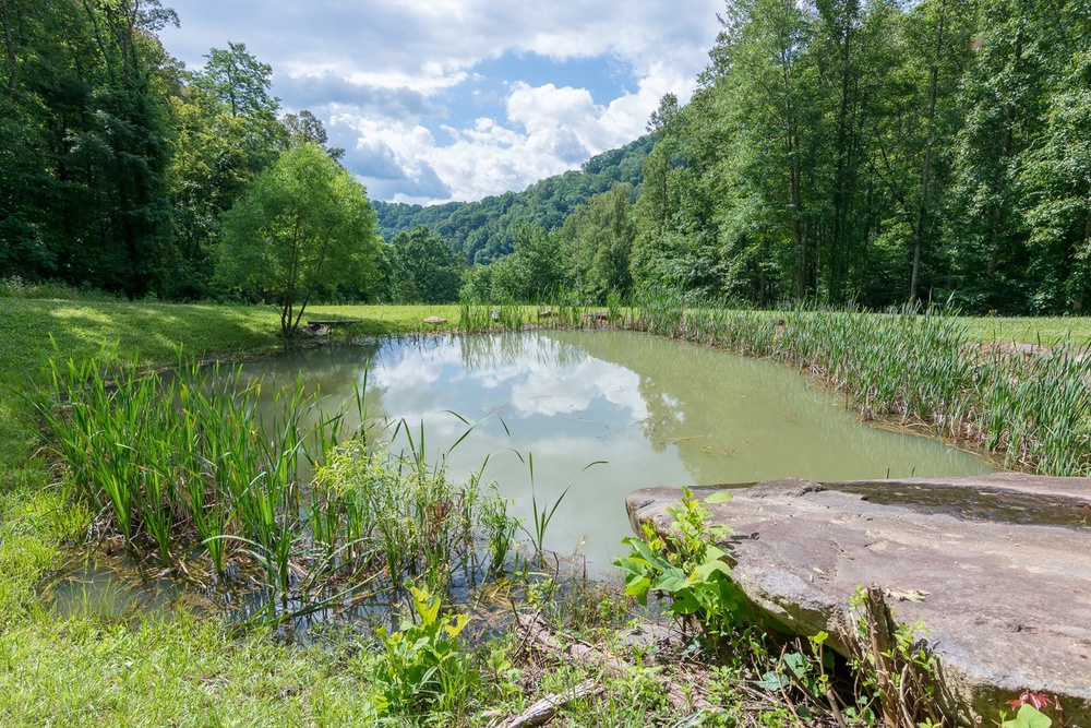 50-Acre Property with Pond