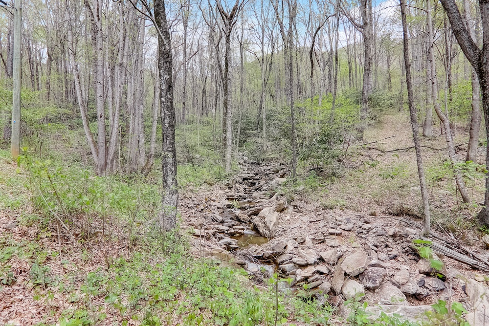 Creek Running Through Property