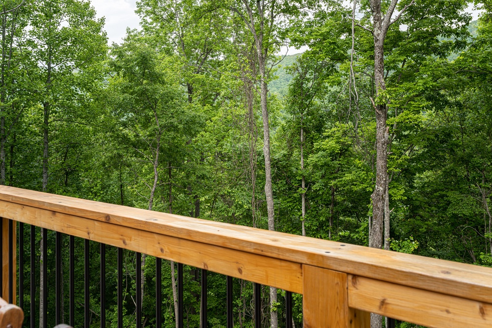 Deck View