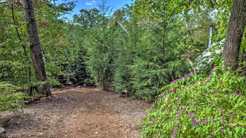 Short Walk to Cabins