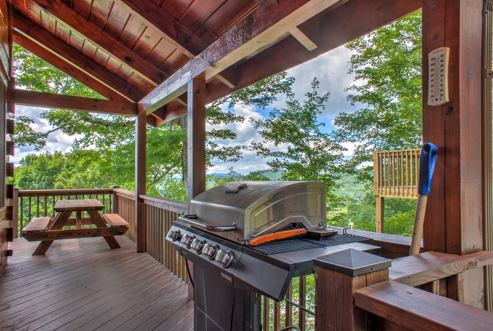 Gas Grill