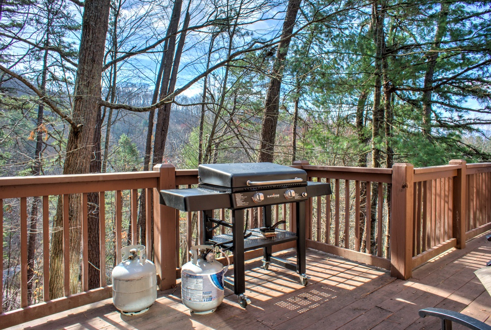Gas Grill w/ Wooded Surroundings