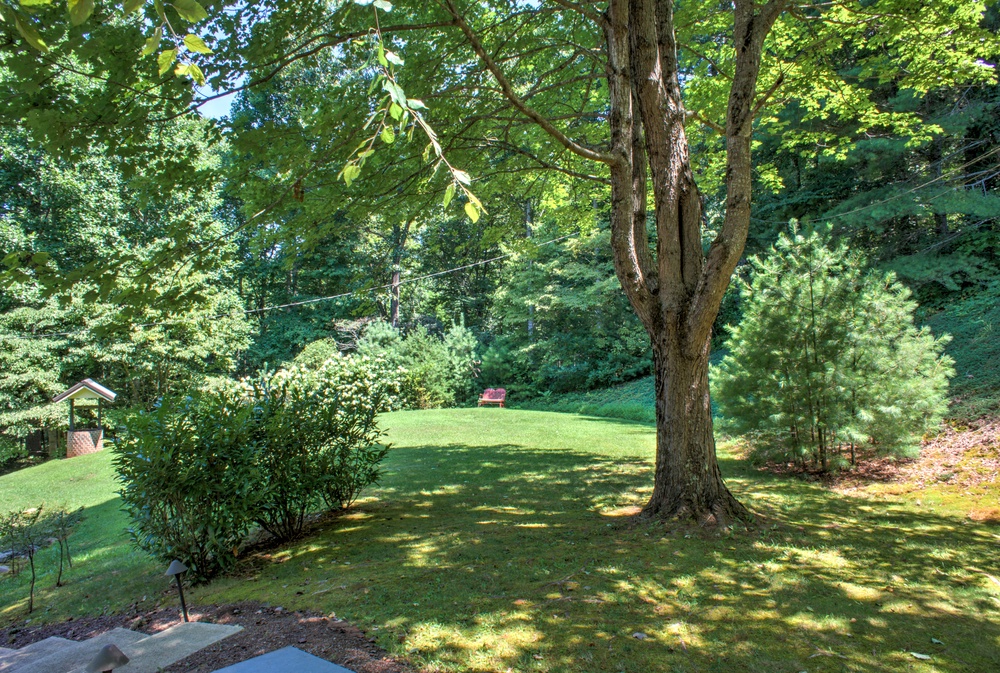 Have an Afternoon Picnic or Stargaze at night!