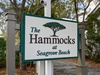 The Hammocks at Seagrove Beach