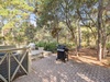 Wooded Backyard & Gas Grill - Perfect for Entertaining