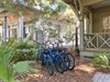 Hop on Included Bikes & Explore 30A!