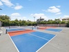 Play a Game of Pickleball or Tennis!