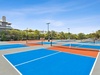 Play a Game of Tennis or Pickleball!