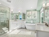 Primary Suite - Tub and Shower
