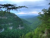 Minutes From Cloudland Canyon State Park
