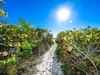 Sea Glass on Park Beach Path