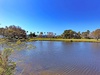 Serene lake surrounded by lush landscaping and palm trees under brilliant blue skies in the neighborhood.