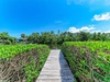 A weathered boardwalk extends through lush mangroves to a tranquil waterway, with the property visible beyond dense tropical vegetation under sunny blue skies.