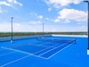 Lighted Tennis or Pickle Ball