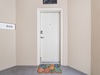Entry Door