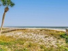 Beach dunes