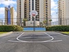 Basketball Court