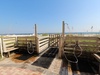 Resort Beach Access