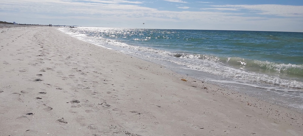 Paradise Along Boca Ciega Bay