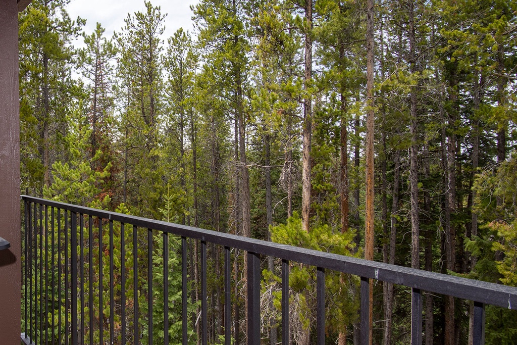 Step onto your private balcony and breathe in the fresh forest air while enjoying your morning coffee surrounded by towering trees.