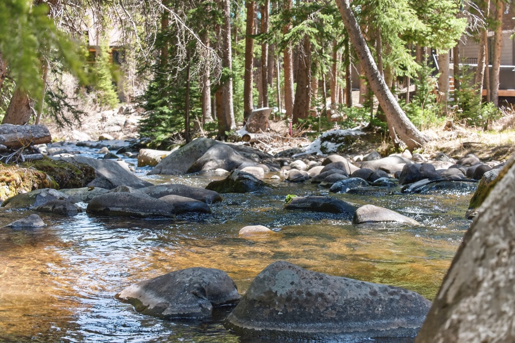 A peaceful stream flows through a forest of towering pines and smooth river stones, offering a serene natural setting near the property.