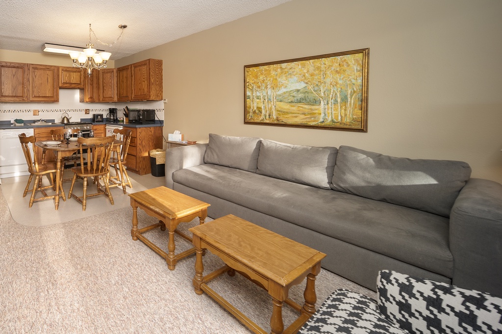 Relax in your open-concept suite where the cozy living area flows into a full kitchen, perfect for unwinding after adventures.