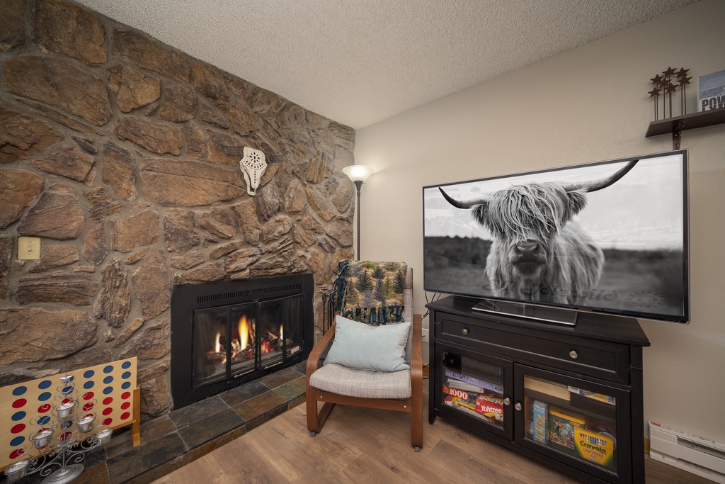 SWP Silverado C101 living room fireplace and TV