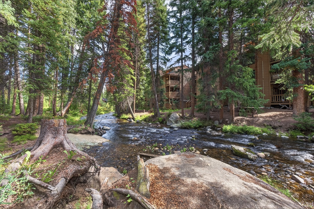 A peaceful mountain retreat nestled among towering pines, where the gentle sounds of a rushing creek and birdsong fill the air. This is a tranquil setting ideal for a rejuvenating getaway.