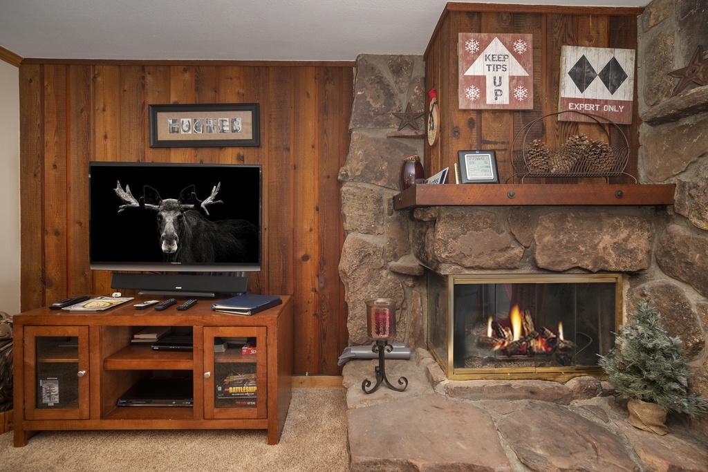Cozy up by your stone fireplace while enjoying entertainment on the flat-screen TV in this warm, wood-paneled retreat.