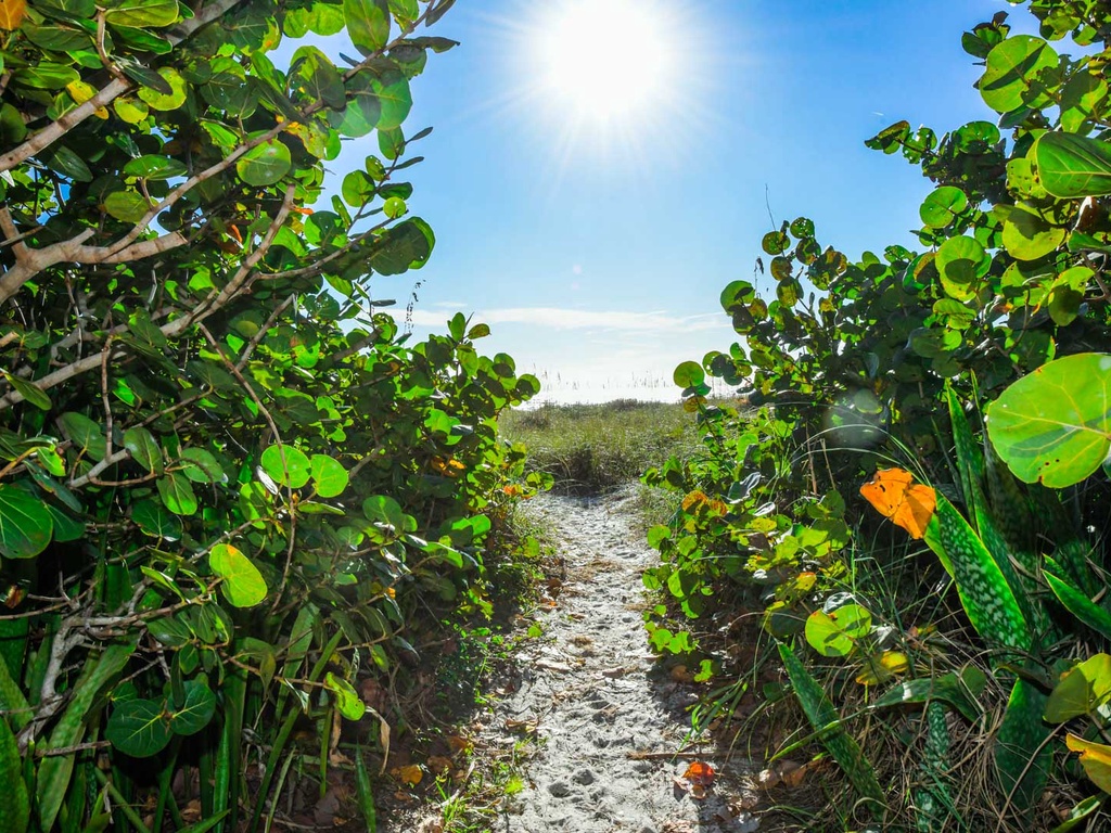 The Deckhouse - AMI Locals