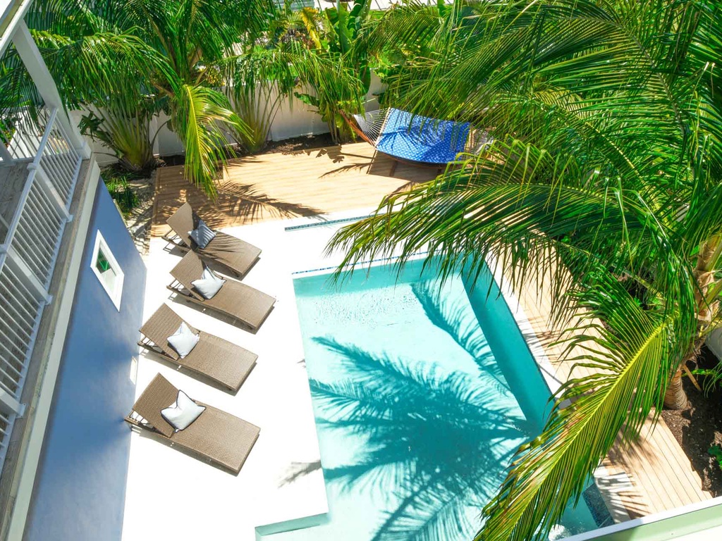 Palmetto Pointe - AMI Locals