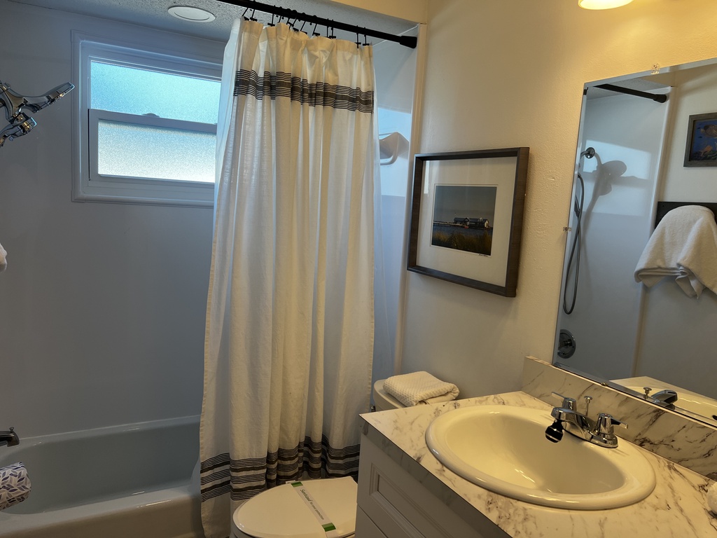 Mermaid Dreams-AMI Locals