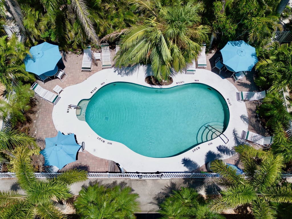 Large Shared Swimming Pool