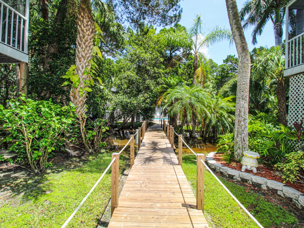 Saltwater Palms - AMI Locals