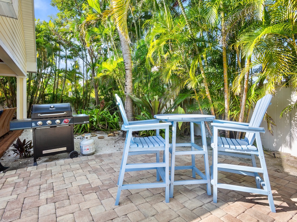 BBQ Grill and Outdoor Dining Area