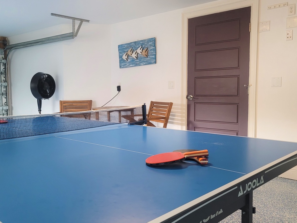 Ping Pong Table