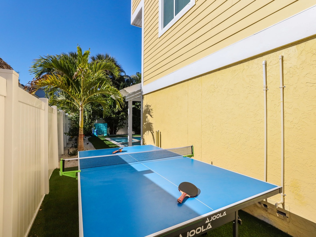 Ping Pong Table