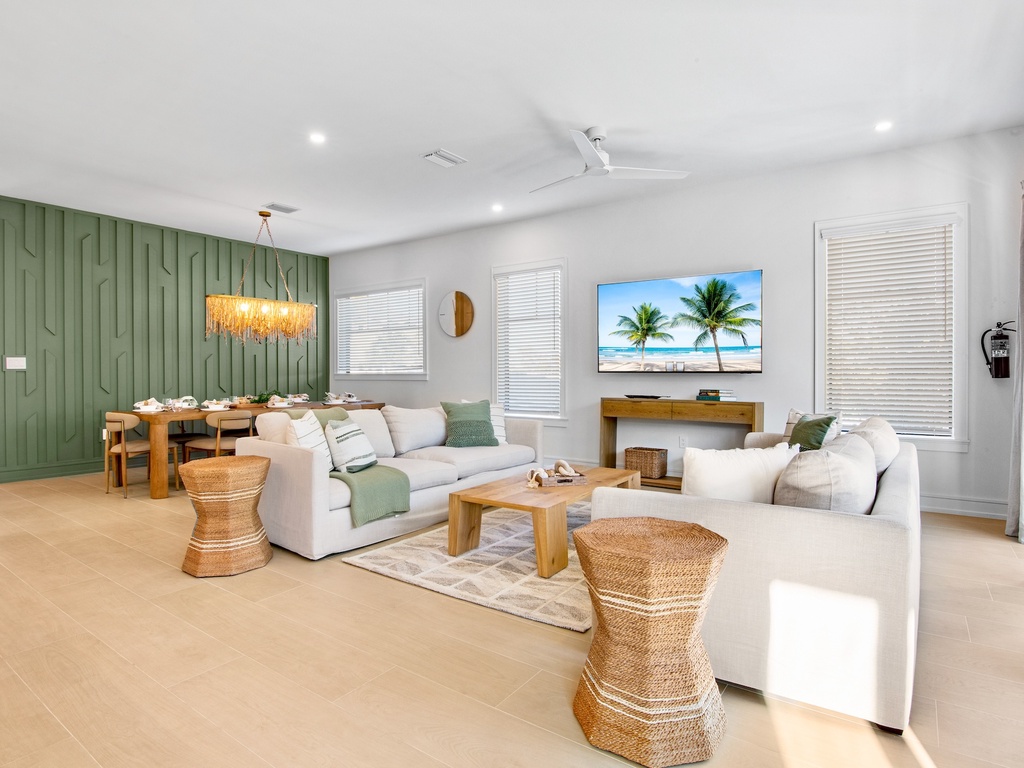 Open living space with TV