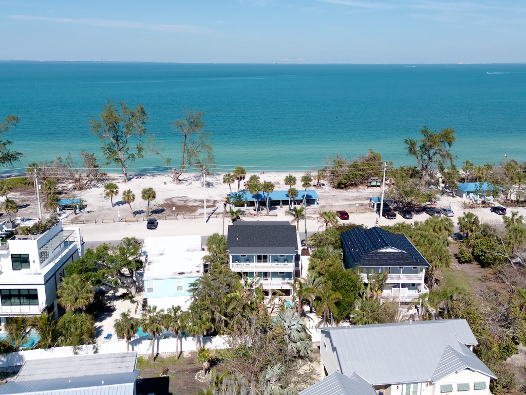 Bay Happy by AMI Locals