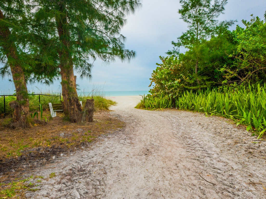 Gulf Pearl - AMI Locals