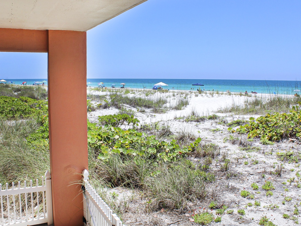 Beach View