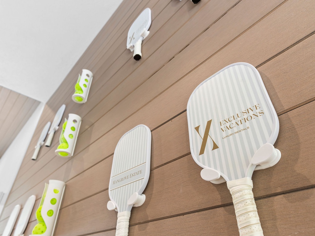 Pickleballs Paddles