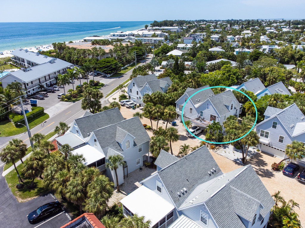 Saltwater Palms - AMI Locals