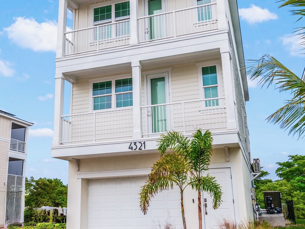 View of Salty Seagull