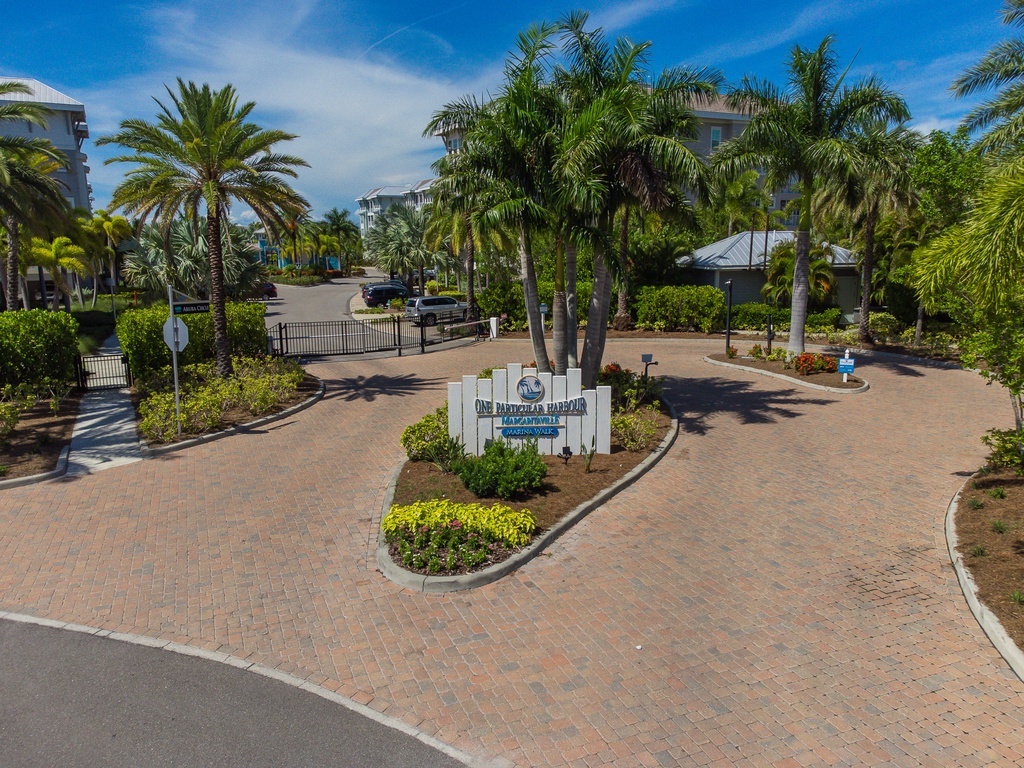 Feelin' Tip Sea- AMI Locals