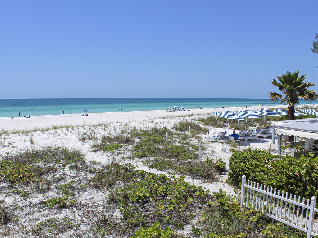 Beachfront Waves by AMI Locals