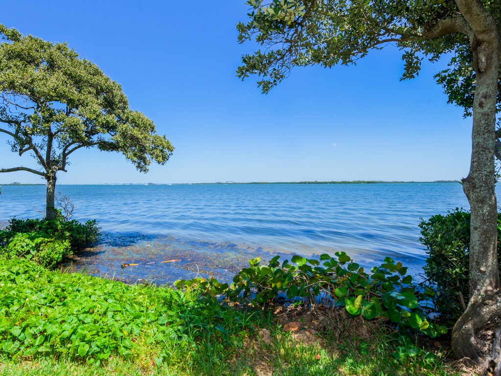 Bayfront Views
